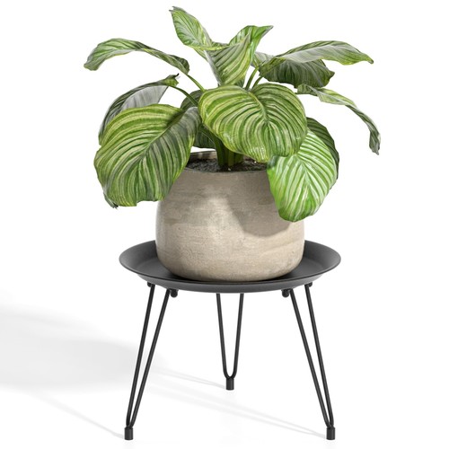 Indoor metal plant stand - metal,